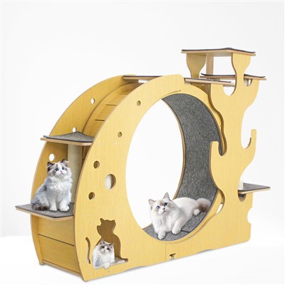 Mājdzīvnieku skrejceļš kaķiem