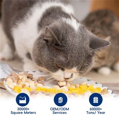 Premium Nutrition jaukta saldējamā{0}}žāvēta kaķu barība